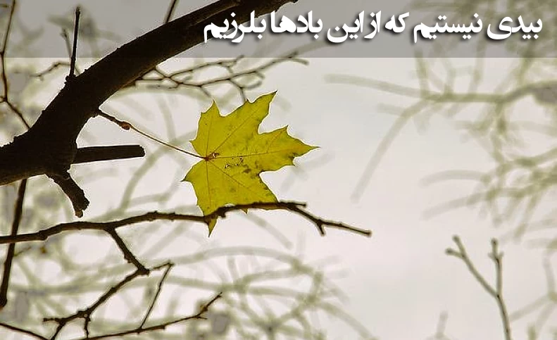 ما بیدی نیستیم که از این بادها بلرزیم